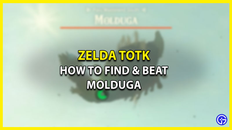where-to-find-molduga-in-zelda-tears-of-the-kingdom:-(boss-fight).