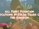 all-fairy-fountain-locations-in-zelda-tears-of-the-kingdom