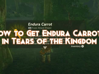 how-to-get-endura-carrots