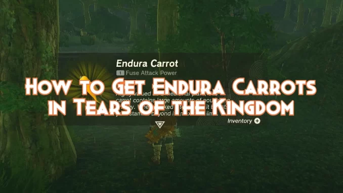 how-to-get-endura-carrots