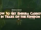 how-to-get-endura-carrots